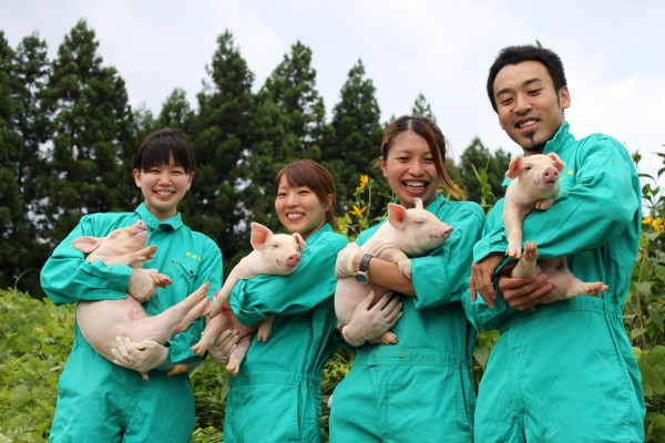 THÔNG BÁO ĐƠN HÀNG CHĂN NUÔI LỢN NGÀY 18/02/2019