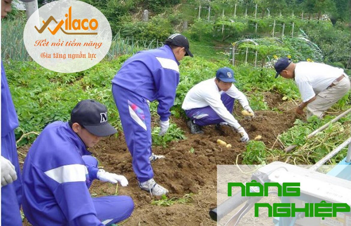 THÔNG BÁO DH SỐ 80/TBTD-VLC: ĐƠN HÀNG NÔNG NGHIỆP