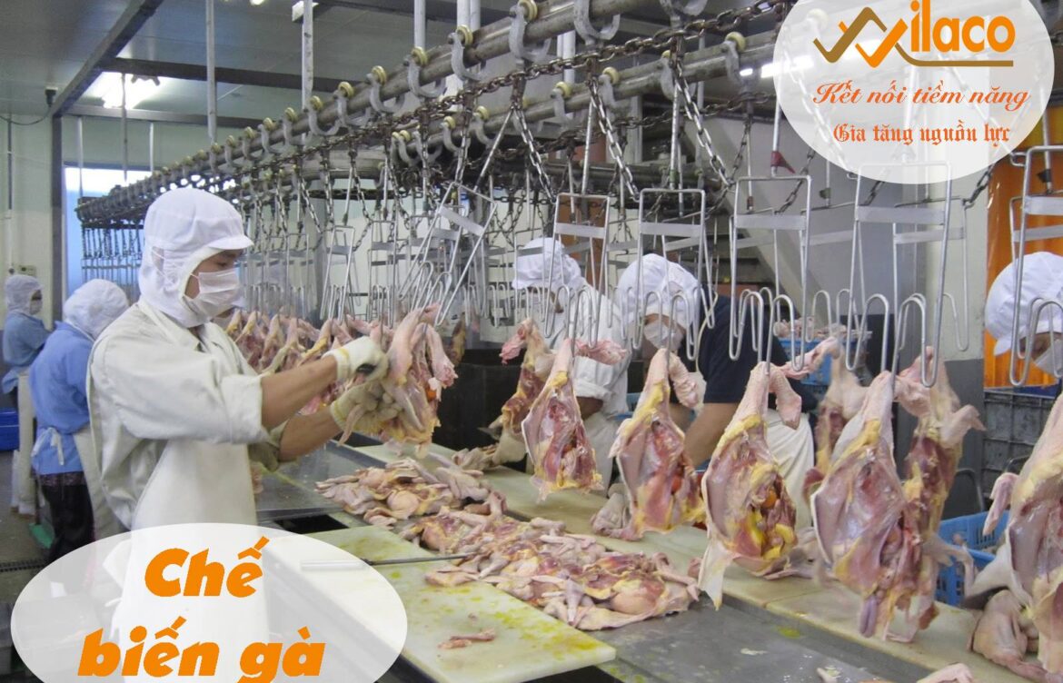 THÔNG BÁO ĐƠN HÀNG CHẾ BIẾN GÀ NGÀY 17/04/2019