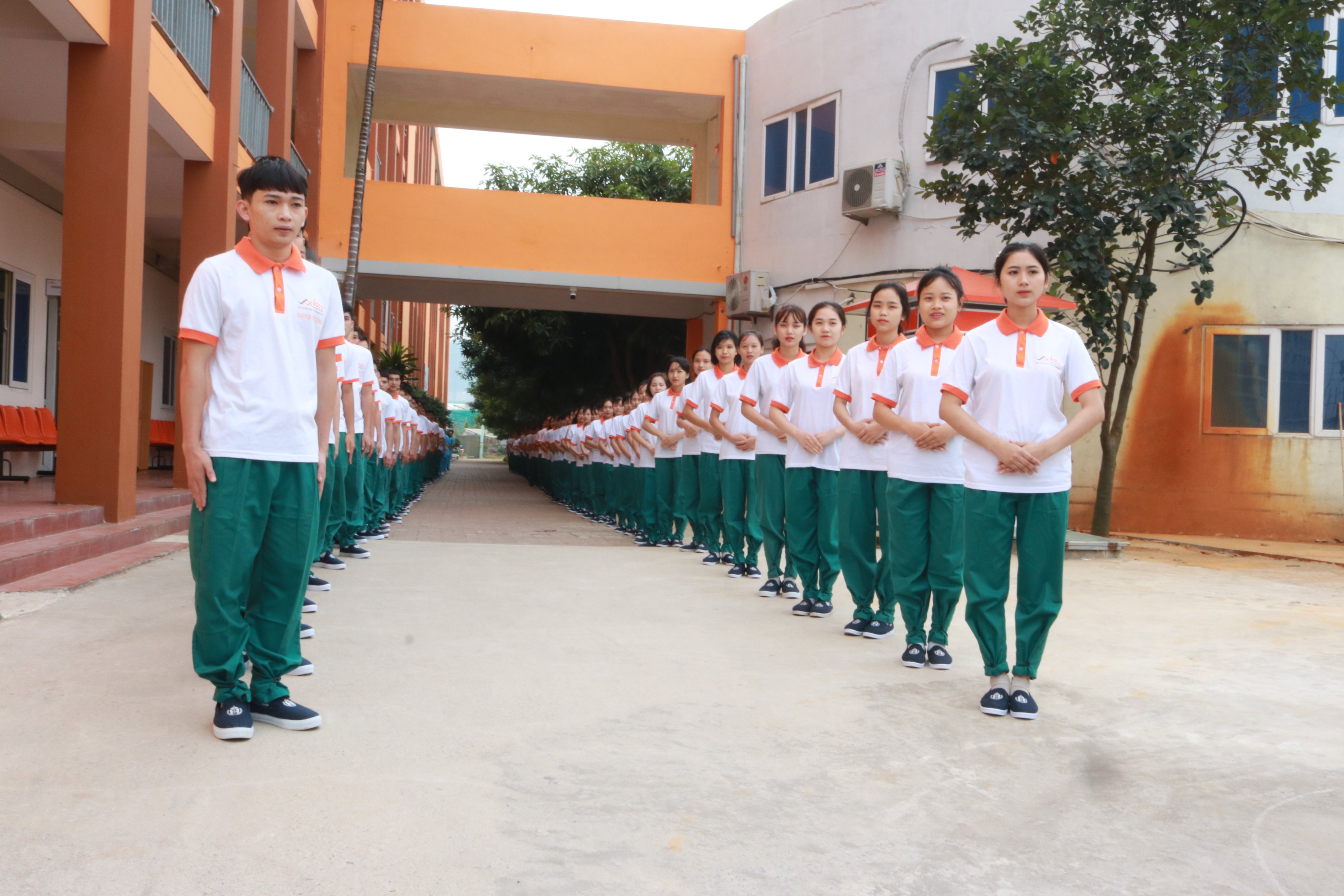 Thực tập sinh tại công ty (Ảnh: Vilaco)