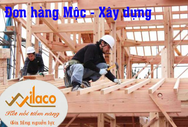 TBDH SỐ 212/TBTD-VLC: ĐƠN HÀNG MỘC