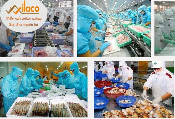 TB SỐ 134/TBTD-VLC ĐƠN HÀNG CHẾ BIẾN THỦY SẢN