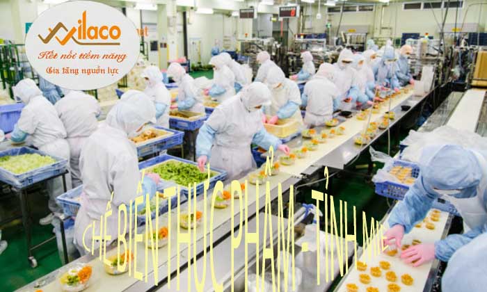 TB SỐ: 47/TBTD-VLC ĐƠN HÀNG CHẾ BIẾN THỰC PHẨM