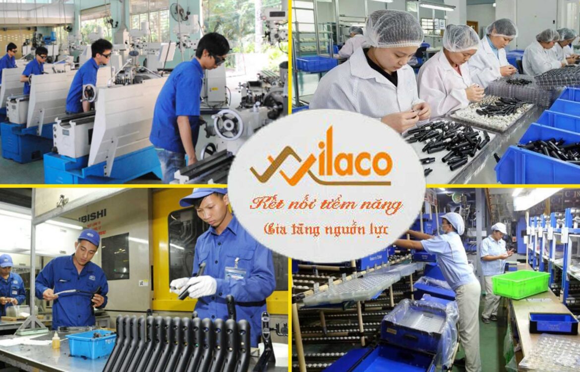 TBDH SỐ 191/TBTD-VLC ĐƠN HÀNG ĐÚC ( KIỂM TRA SẢN PHẨM CƠ KHÍ)