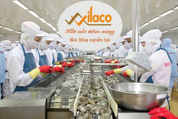 TBDH SỐ 183/TBTD-VLC ĐƠN HÀNG CHẾ BIẾN THỦY SẢN