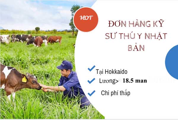 TB SỐ 108/TBTD-VLC ĐƠN HÀNG KỸ SƯ THÚ Y