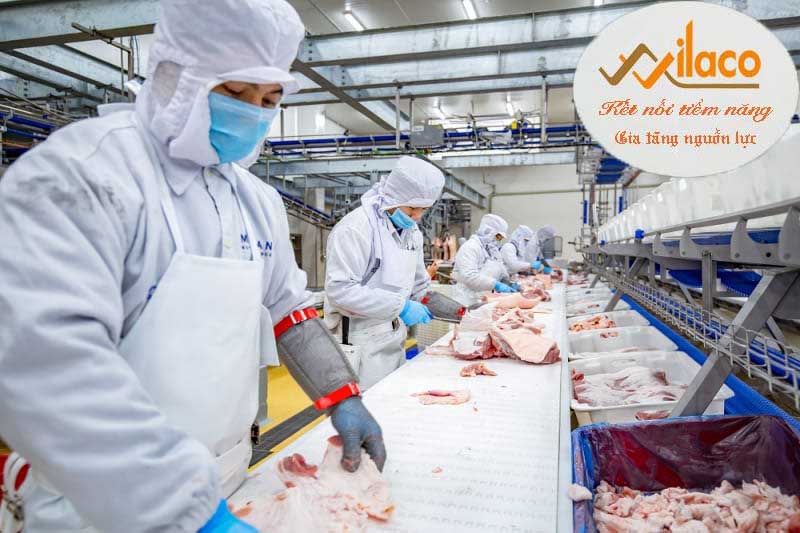 TB SỐ 140/TBTD-VLC ĐƠN HÀNG CHẾ BIẾN THỊT BÒ VÀ THỊT LỢN