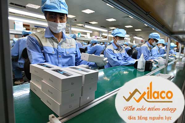 TB SỐ 167/TBTD-VLC ĐƠN HÀNG ĐÓNG GÓI CÔNG NGHIỆP